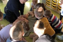 IMG-3374