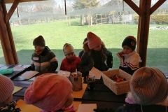 IMG_20230403_111543