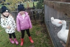 IMG_20231025_104001